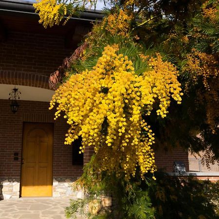 Villa Anna مونْكالييري المظهر الخارجي الصورة