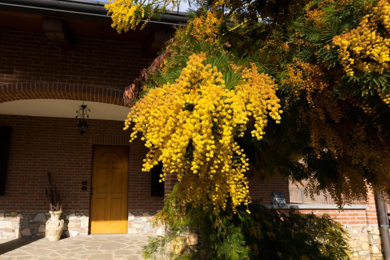 Villa Anna مونْكالييري المظهر الخارجي الصورة